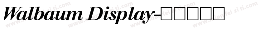 Walbaum Display字体转换